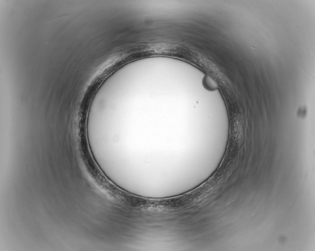 X0000093600730200711121148