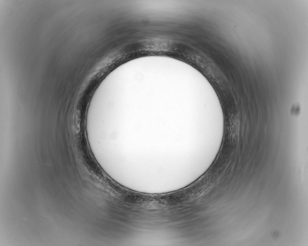 X0000093600731200711121148