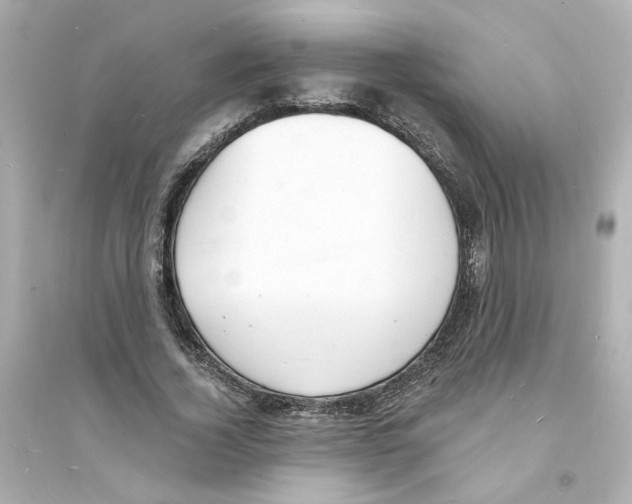 X0000093600732200711121148