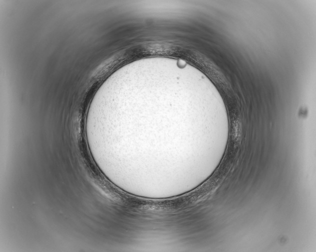 X0000093600733200711121148