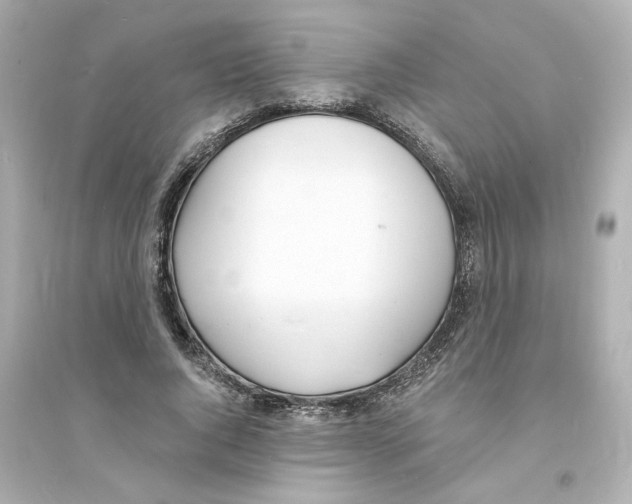 X0000093600736200711121148