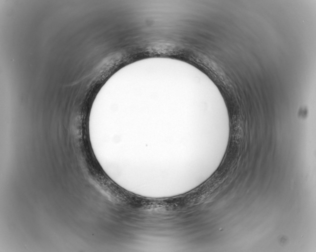 X0000093600738200711121148