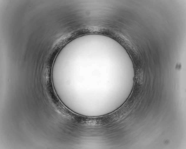 X0000093600740200711121148