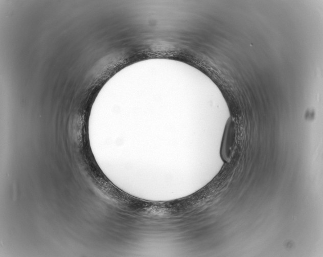 X0000093600742200711121148