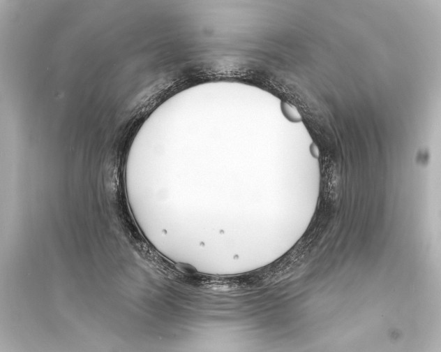 X0000093600746200711121148