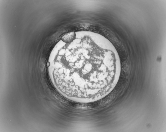 X0000093600754200711121148