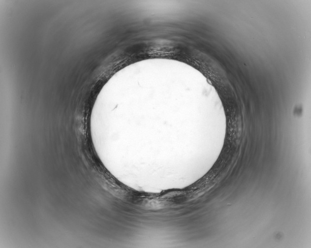 X0000093600755200711121148