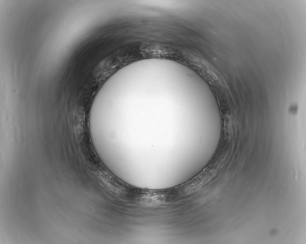 X0000093600760200711121148