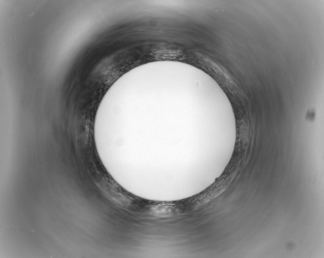 X0000093600761200711121148