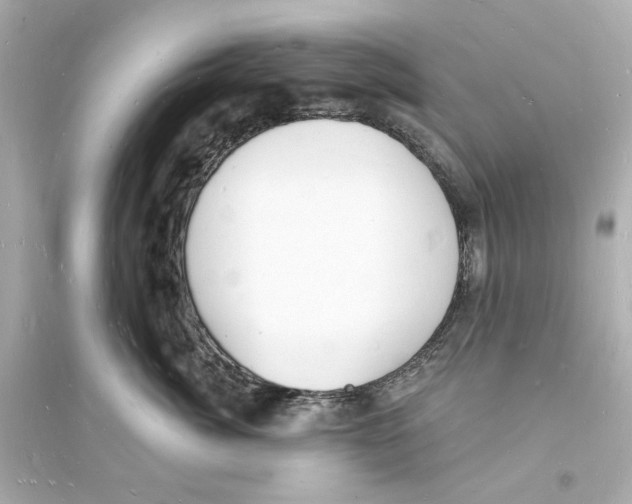 X0000093600764200711121148