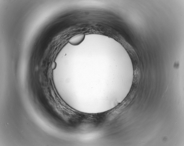 X0000093600765200711121148