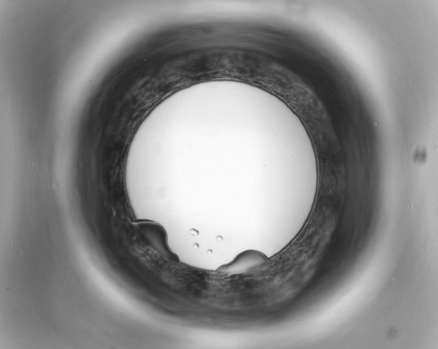 X0000093600766200711121148