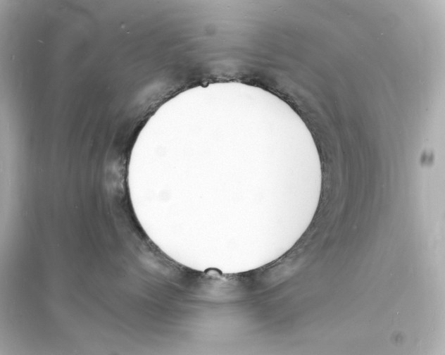 X0000093600768200711121148