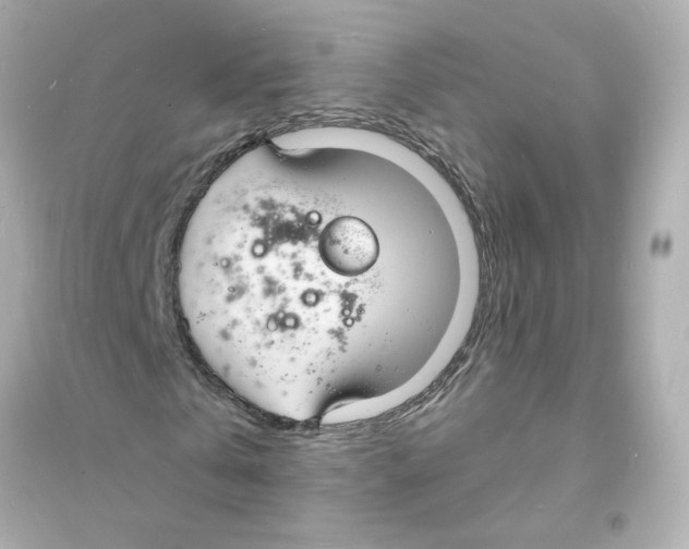 X0000093600769200711121147