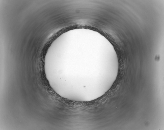 X0000093600776200711121147