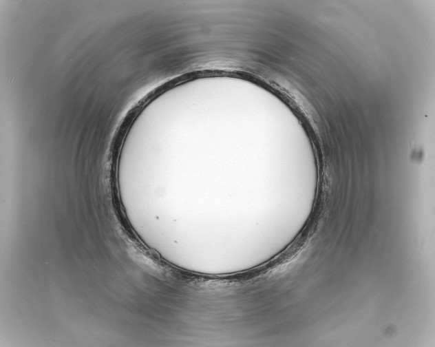 X0000093600779200711121147