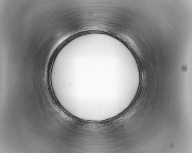 X0000093600780200711121147