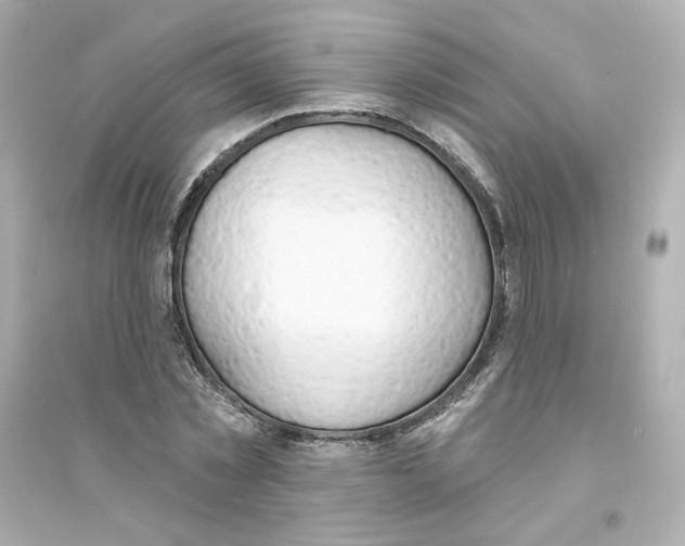 X0000093600781200711121147