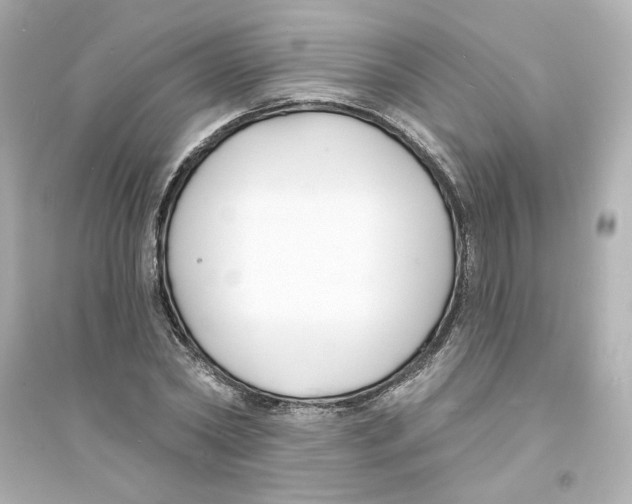 X0000093600782200711121147