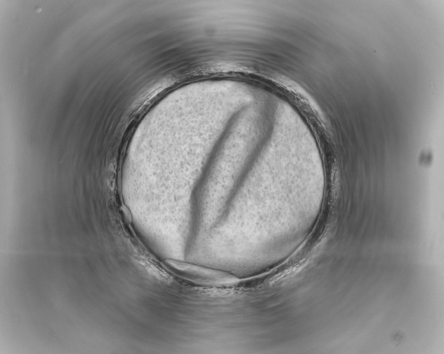 X0000093600785200711121147