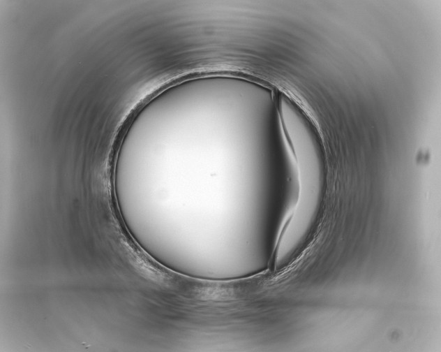 X0000093600789200711121147