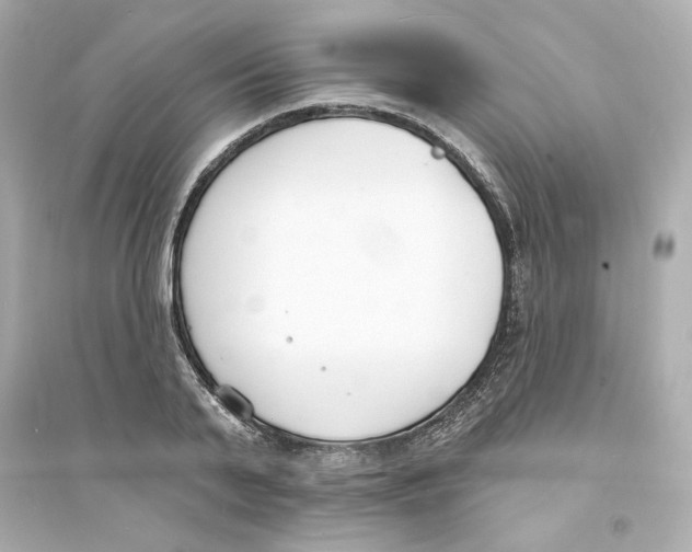 X0000093600791200711121147