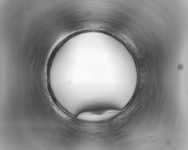 X0000093600792200711121147