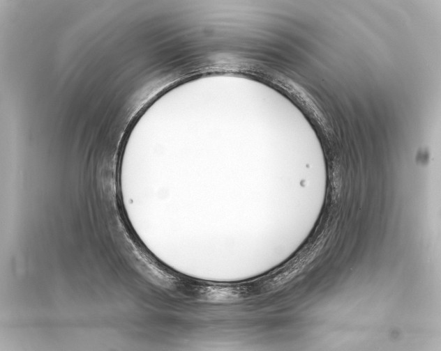 X0000093600794200711121147