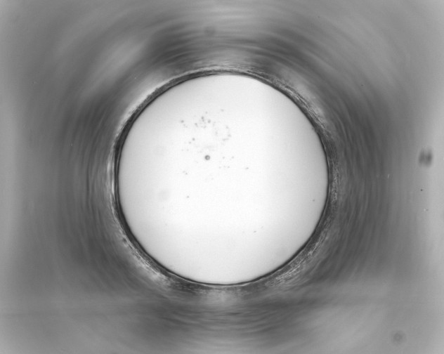 X0000093600796200711121147