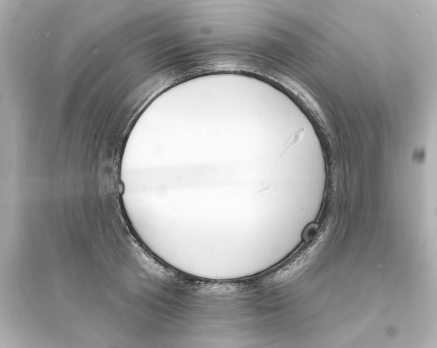 X0000093600801200711121147