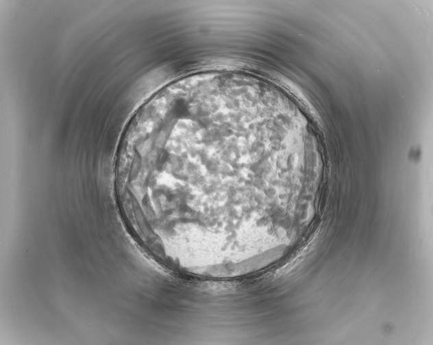 X0000093600802200711121147