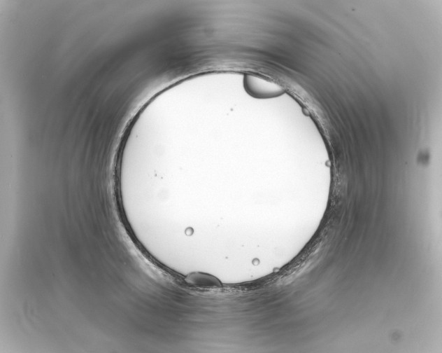 X0000093600803200711121147