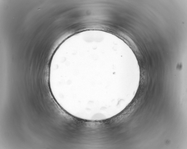 X0000093600804200711121147