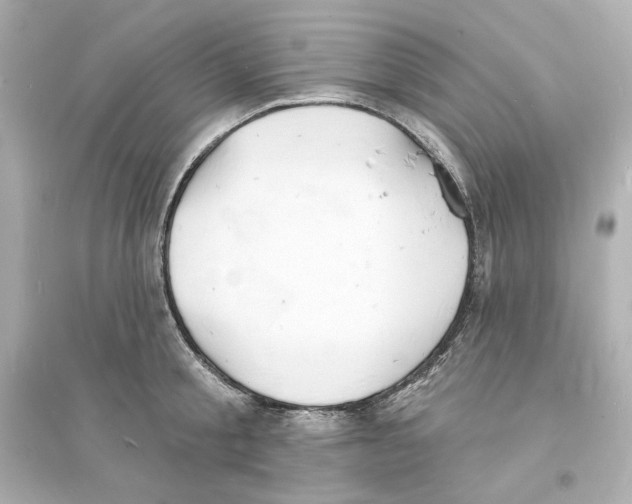 X0000093600805200711121147