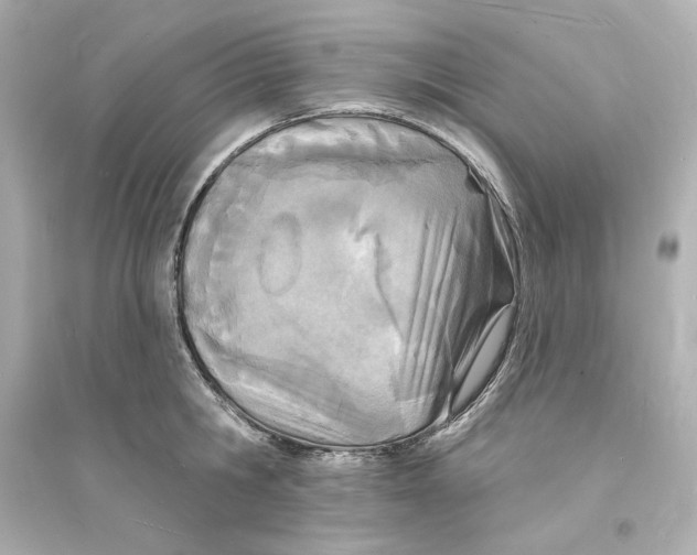 X0000093600806200711121147