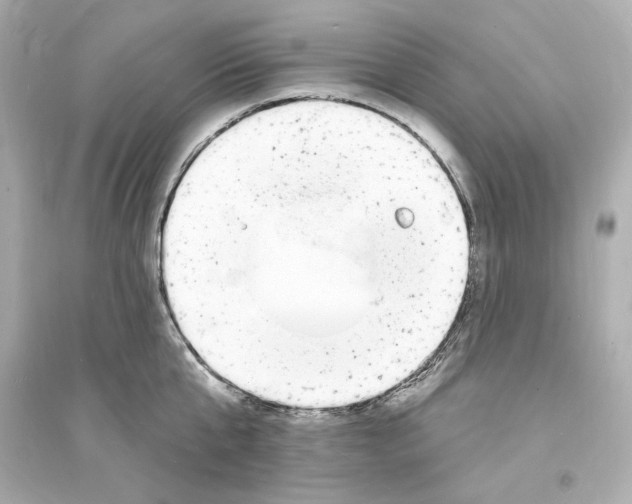 X0000093600807200711121147