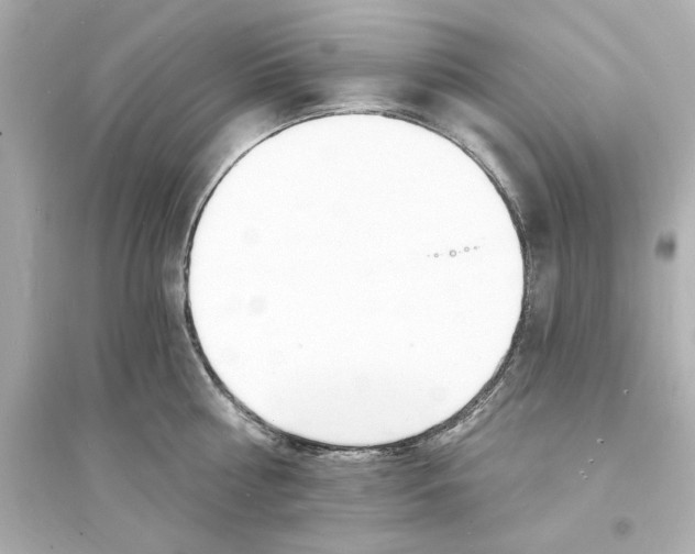 X0000093600810200711121147