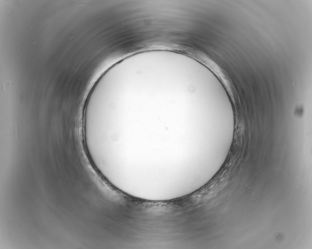 X0000093600811200711121147