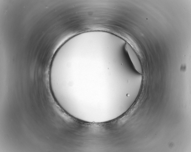 X0000093600814200711121147