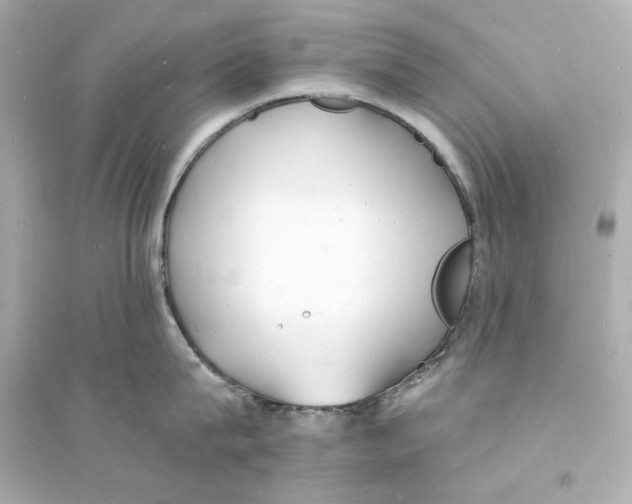 X0000093600815200711121147