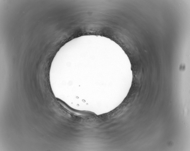 X0000093600817200711121146