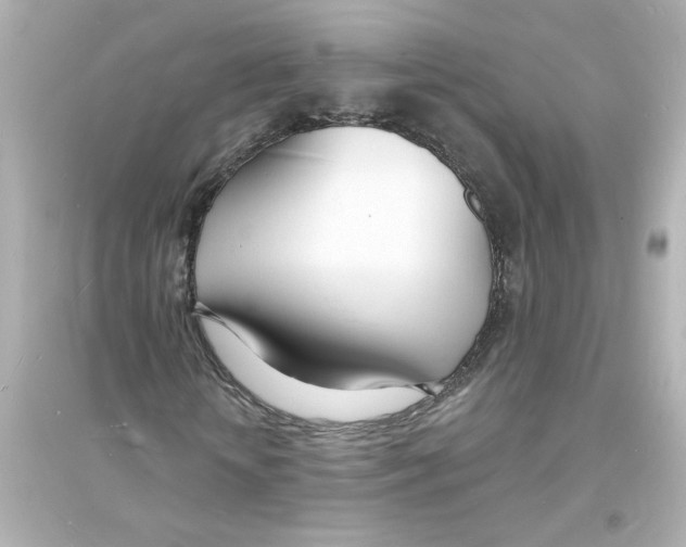 X0000093600818200711121146