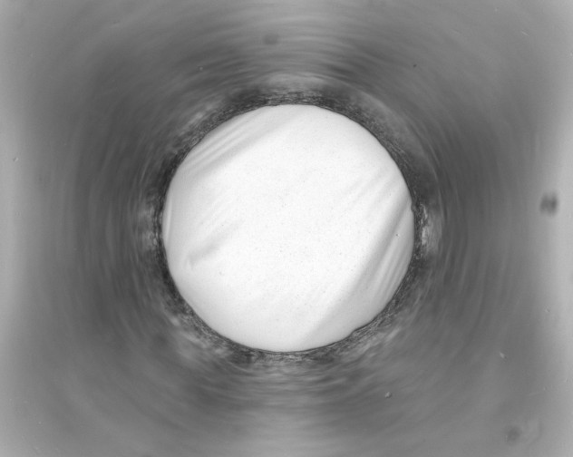 X0000093600819200711121146