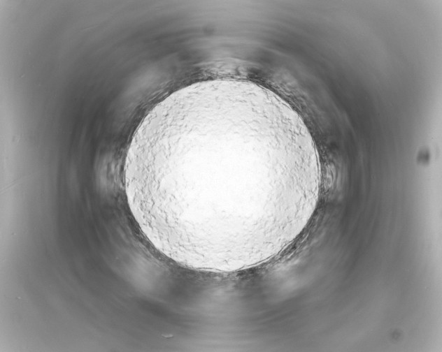 X0000093600820200711121146