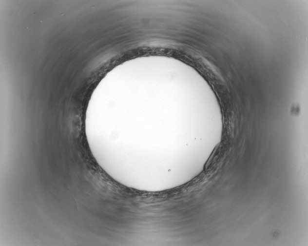 X0000093600821200711121146