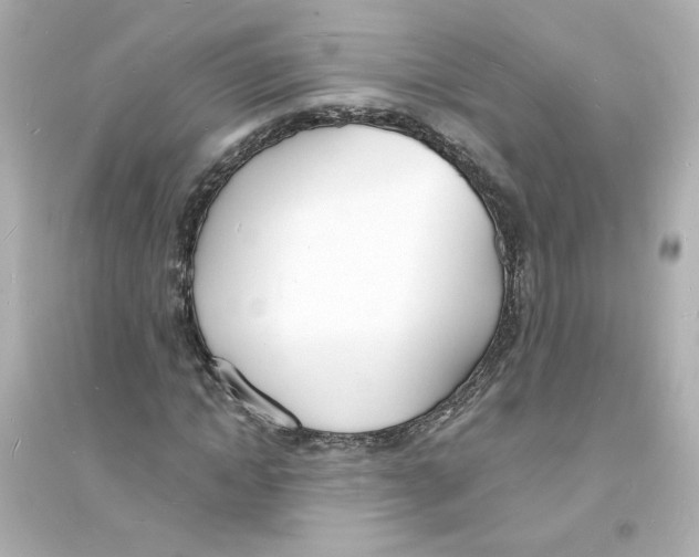 X0000093600822200711121146