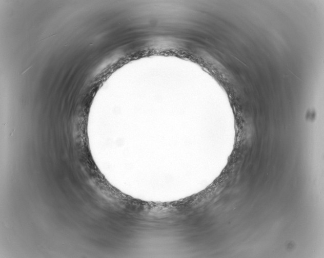 X0000093600824200711121146