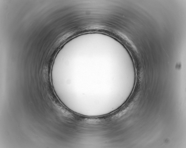 X0000093600825200711121146