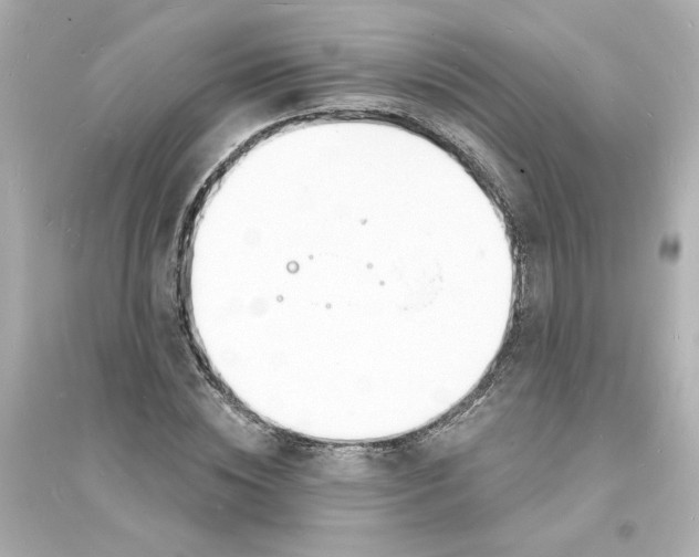 X0000093600828200711121146