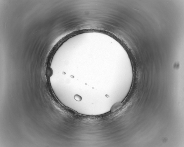 X0000093600830200711121146